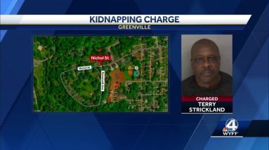 Woman found dead in Greenville home; suspect in custody, police say