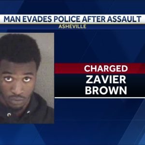 Man assaults female, evades police by running across interstate, police say