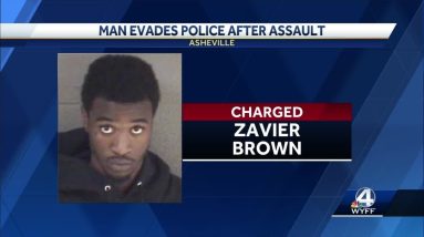 Man assaults female, evades police by running across interstate, police say