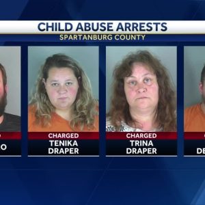 Child Abuse Charges