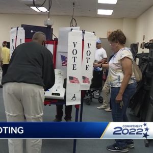 Early voting starts in South Carolina as state website goes down