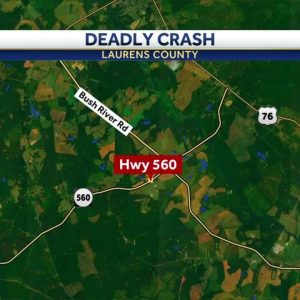 2 children injured in crash that killed South Carolina woman, troopers say