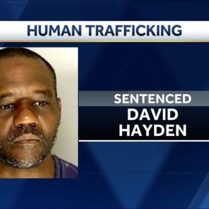 South Carolina man sentenced to life in historic human sex trafficking conviction