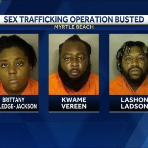 Sex trafficking operation in Myrtle Beach leads to 3 arrests; more victims possible, SLED says