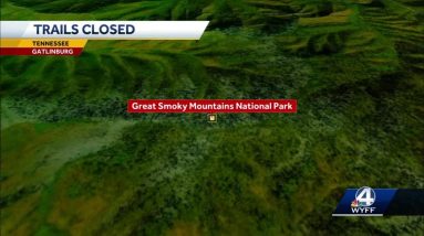 Part of Great Smoky Mountains National Park closed due to feeding bears, officials say
