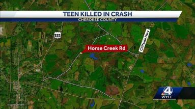 South Carolina teen dies after vehicle goes airborne, catches fire, coroner says