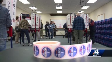 SC voting website restored after crashing on first day of early voting