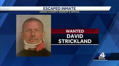 Union County deputies searching for escaped inmate