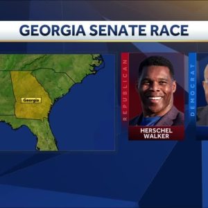 Warnock, Walker face off for US Senate in Georgia