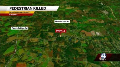 Woman killed in crash