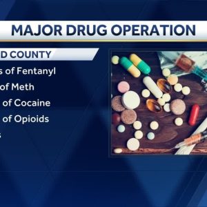 37 arrested, over 100 grams of fentanyl seized, deputies say