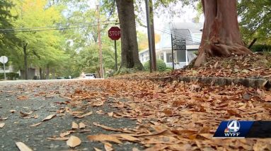 Forecasting Our Future: Lack of rain creating longer pollen season