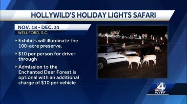 Hollywild Animal Preserve to host 32nd Holiday Lights Safari