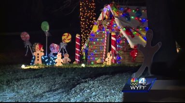 Hollywild Light Safari is open for the holiday season