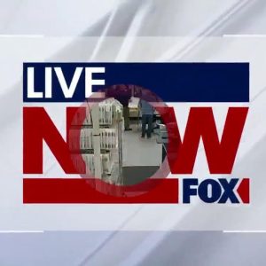 Tracking Tropical Storm Nicole, GA runoff election & more top stories | LiveNOW from FOX