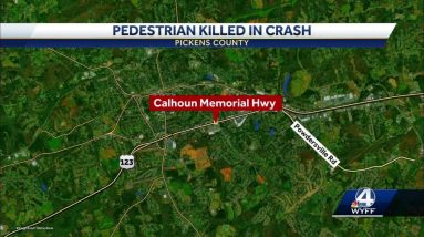 Man killed in Pickens County crash