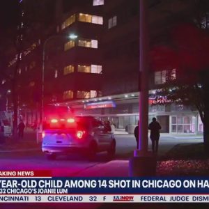 Halloween shooting leaves 14 injured including 3-year-old: New details | LiveNOW from FOX