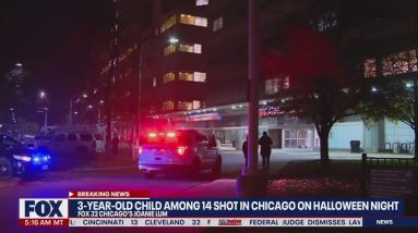 Halloween shooting leaves 14 injured including 3-year-old: New details | LiveNOW from FOX