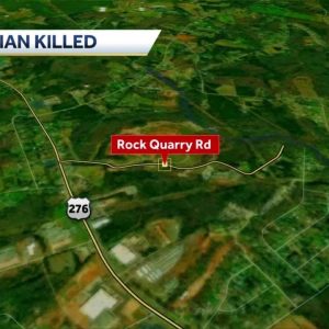 Pedestrian killed in Greenville County Crash