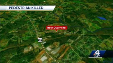Pedestrian killed in Greenville County Crash