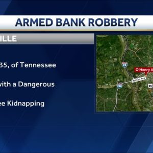 Police investigating armed bank robbery