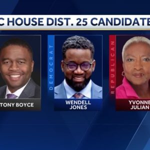 South Carolina House District 25 candidates