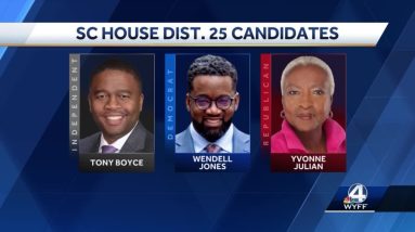 South Carolina House District 25 candidates