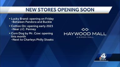 Two new clothing stores and dining option coming to Haywood Mall