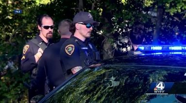 Upstate sheriff talks about new unit to curb crime