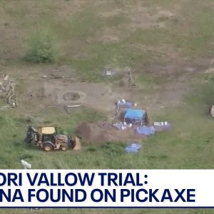 Lori Vallow murder trial: Tammy Daybell's sister testifies, DNA found on pickaxe | LiveNOW from FOX