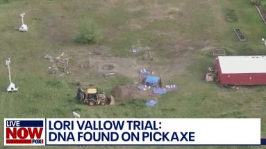 Lori Vallow murder trial: Tammy Daybell's sister testifies, DNA found on pickaxe | LiveNOW from FOX