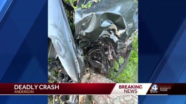 Anderson County fatal