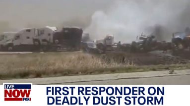 First responders on deadly dust storm in Illinois | LiveNOW from FOX