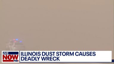 Illinois dust storm: Multi-vehicle pile up turns deadly | LiveNOW from FOX