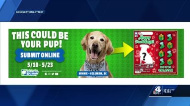 Morning Buzz - SC Education Lottery Puppy Scratch Off