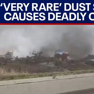 6 dead, 30 injured after 'very rare' dust storm causes massive crash in Illinois | LiveNOW from FOX