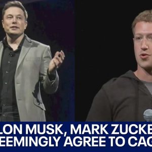 Elon Musk, Mark Zuckerberg fight would be biggest in history, UFC president says | LiveNOW from FOX