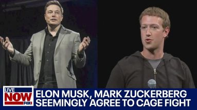 Elon Musk, Mark Zuckerberg fight would be biggest in history, UFC president says | LiveNOW from FOX