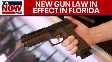 Concealed carry: No permit needed in Florida to legally carry firearm | LiveNOW from FOX