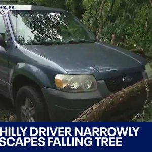 Car nearly hit by tree as severe weather slams Philadelphia