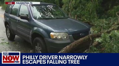 Car nearly hit by tree as severe weather slams Philadelphia
