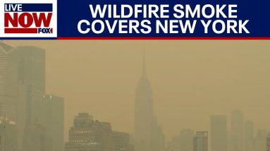 Air Quality alert: Wildfire smoke blankets New York City, other parts of U.S. | LiveNOW from FOX
