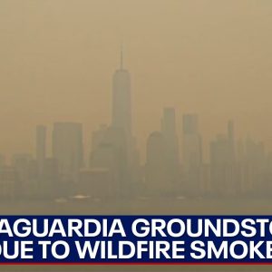 NYC wildfire smoke: Ground stop issued at LaGuardia airport | LiveNOW from FOX