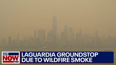 NYC wildfire smoke: Ground stop issued at LaGuardia airport | LiveNOW from FOX