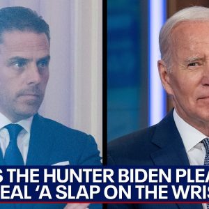 Is Hunter Biden's plea deal a 'slap on the wrist?' | LiveNOW from FOX