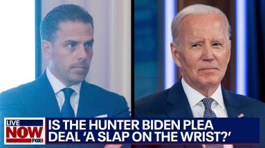 Is Hunter Biden's plea deal a 'slap on the wrist?' | LiveNOW from FOX