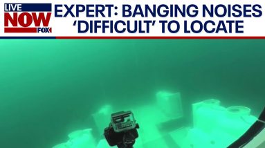 Missing Titanic tourist sub: noises 'really difficult' to locate, expert says | LiveNOW from FOX