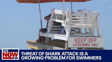Shark bites surge along Long Island, putting swimmers at risk | LiveNOW from FOX