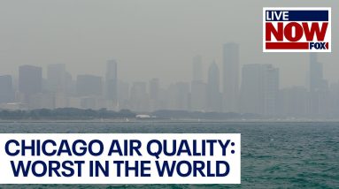 Chicago air quality: worst in the world due to smoke from Canadian wildfires | LiveNOW from FOX