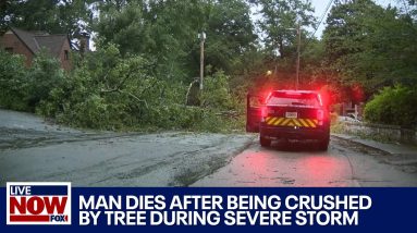Man crushed by tree dies after severe weather hits Georgia | LiveNOW from FOX